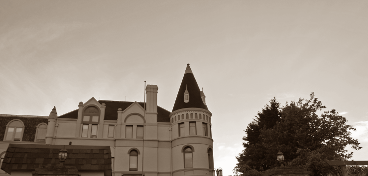 Wetland: Life on the&nbsp;Peninsula