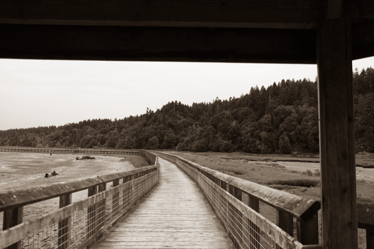 Weeks and Quarters: Bonne Maman Advent Calendar&nbsp;2023